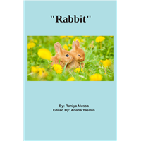 #2166 Rabbit