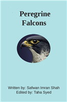 #2089 Peregrine Falcons