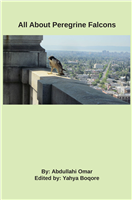 #2109 All About Peregrine Falcons