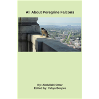 #2109 All About Peregrine Falcons