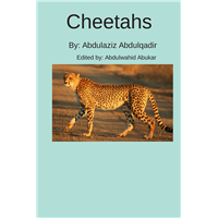 #2092 Cheetah