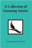 #2169 A Collection of Stunning Stories