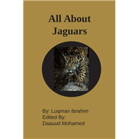 #2108 All About Jaguars