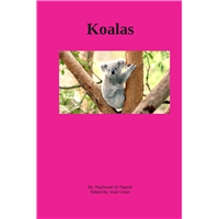 #2168 Koalas