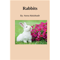 #2083 Rabbits
