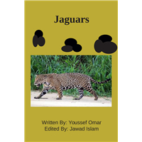 #2087 Jaguars