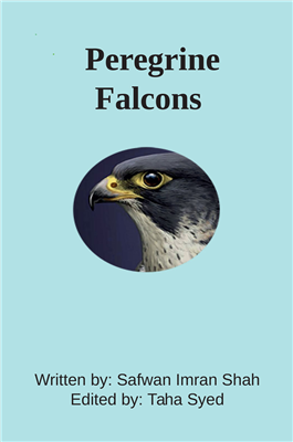falcons peregrine 2089