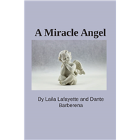 #2049 A Miracle Angel