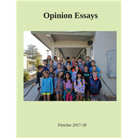 #1626 Opinion Essays