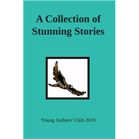 #2169 A Collection of Stunning Stories