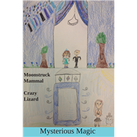 #1316-Mysterious Magic