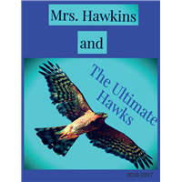 #1251 Mrs. Hawkin's 2016-2017 3rd Grade Class