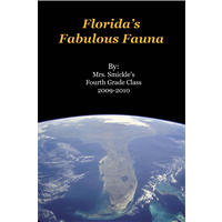 Florida's Fabulous Fauna