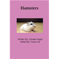 #2091 Hamsters